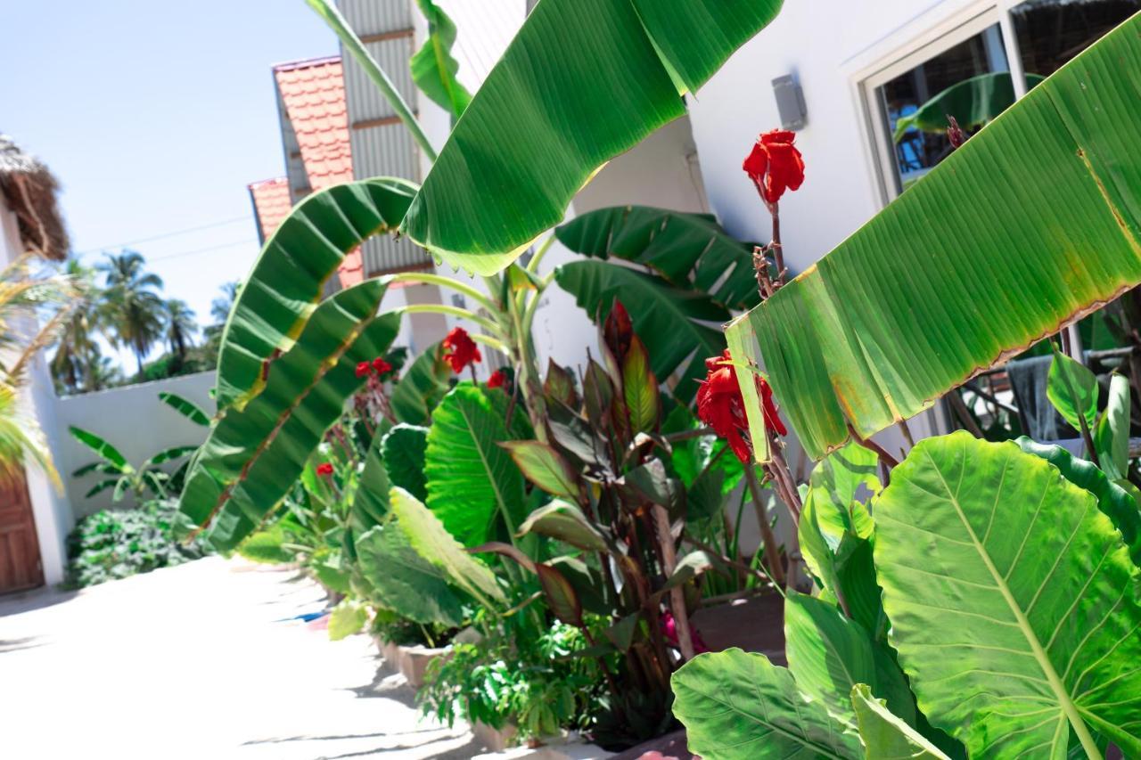 Heart Of Zanzibar Bungalows ปาเยอ ภายนอก รูปภาพ