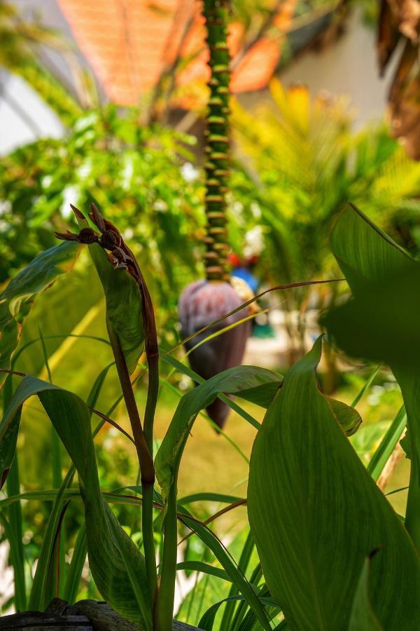 Heart Of Zanzibar Bungalows ปาเยอ ภายนอก รูปภาพ