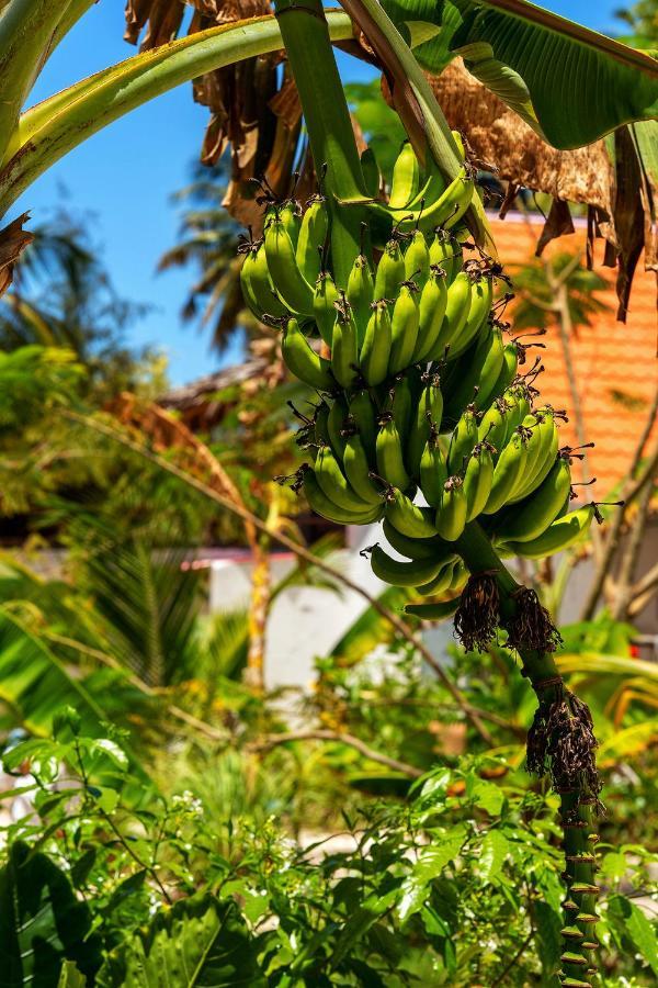 Heart Of Zanzibar Bungalows ปาเยอ ภายนอก รูปภาพ